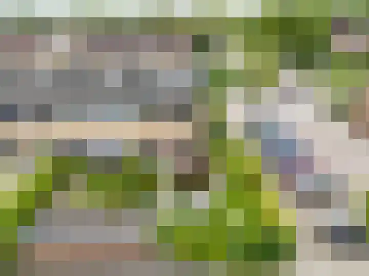 Wederiklaan 55 Kampen thumbnail 32