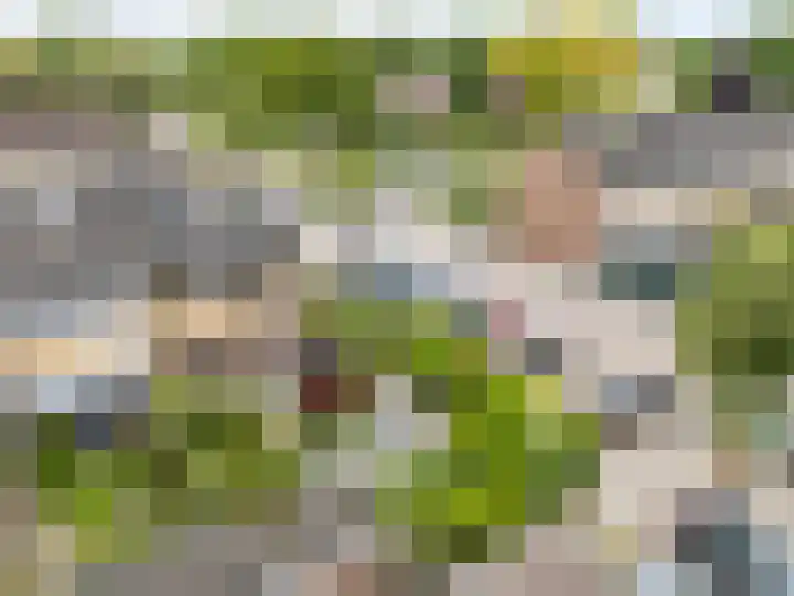 Wederiklaan 55 Kampen thumbnail 33