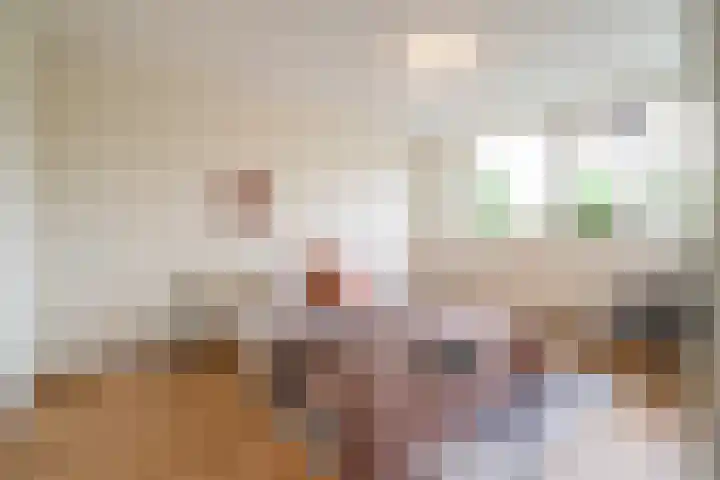 Wederiklaan 55 Kampen thumbnail 43