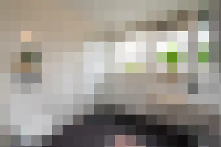 Wederiklaan 55 Kampen thumbnail 48