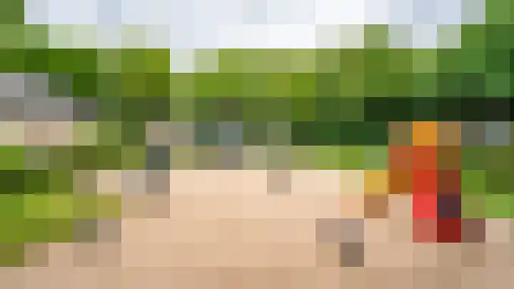 Wederiklaan 55 Kampen thumbnail 63