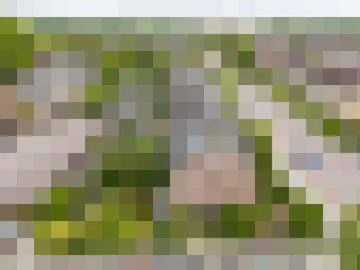Wederiklaan 55 Kampen thumbnail 8