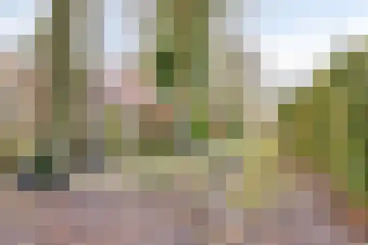 Wederiklaan 63 Enschede thumbnail 30