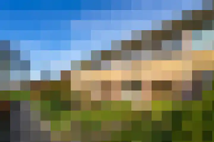 Wederiklaan 65 Kampen thumbnail 13