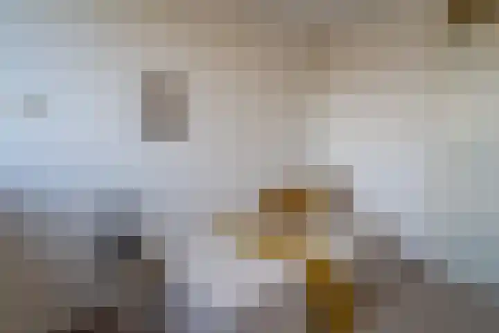 Wederiklaan 65 Kampen thumbnail 36