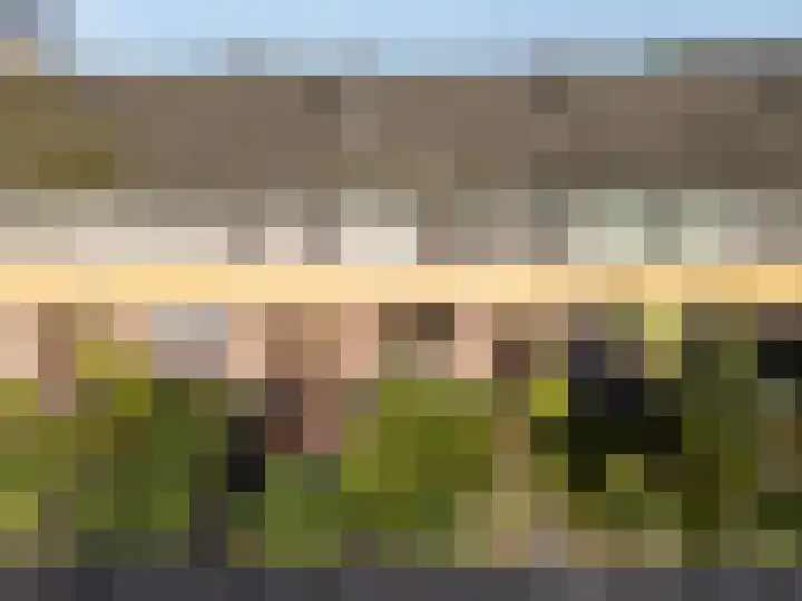 Wederiklaan 65 Kampen thumbnail 8
