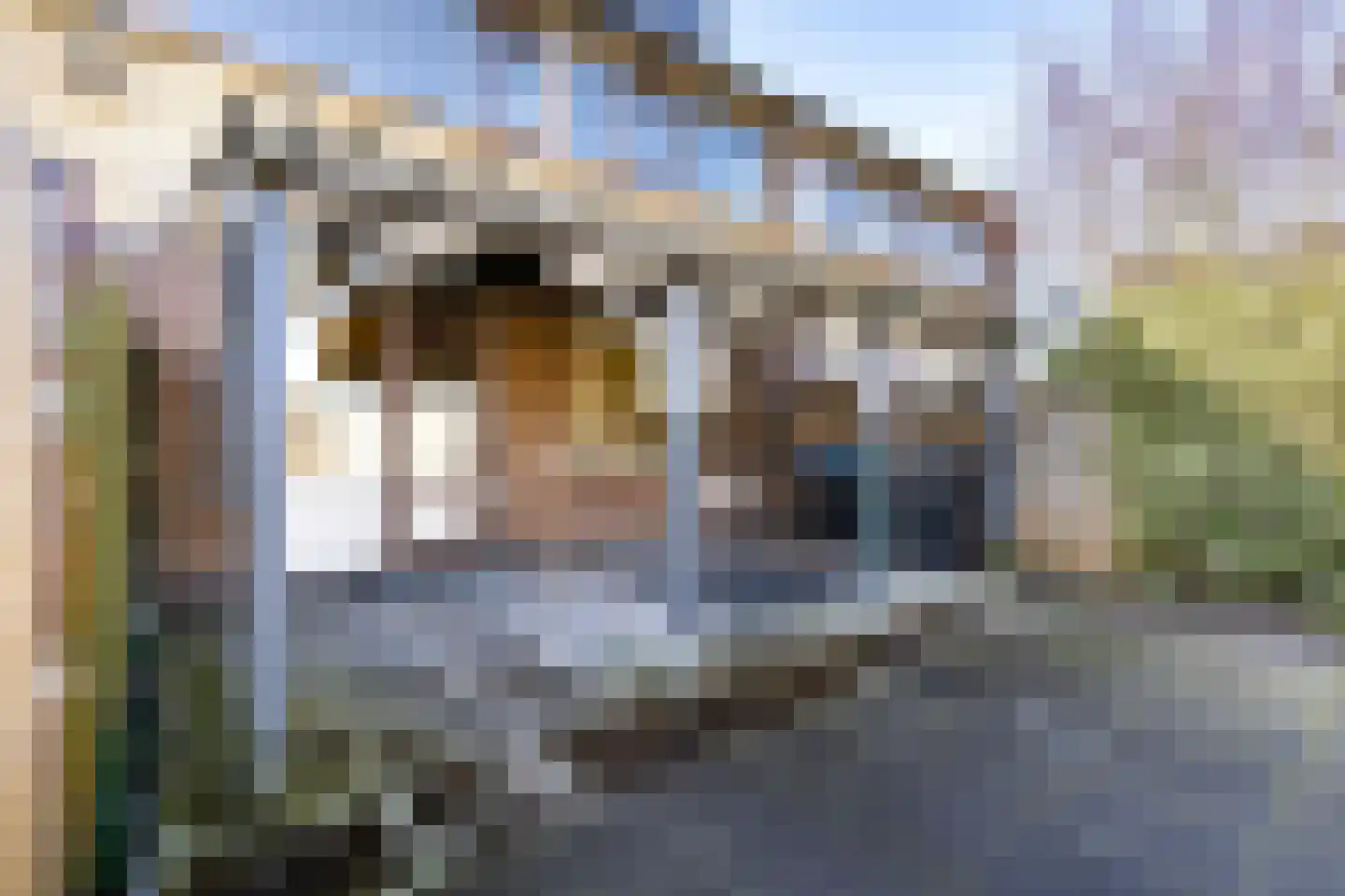 Wederiklaan 67 Kampen thumbnail 47