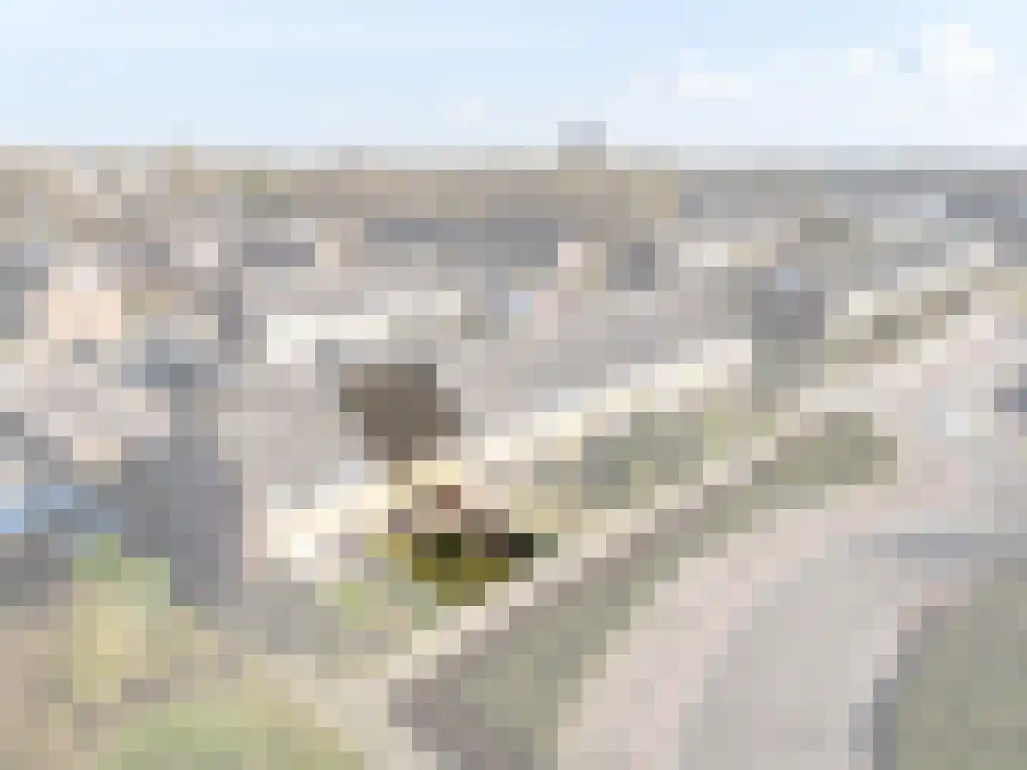 Wederiklaan 67 Kampen thumbnail 8