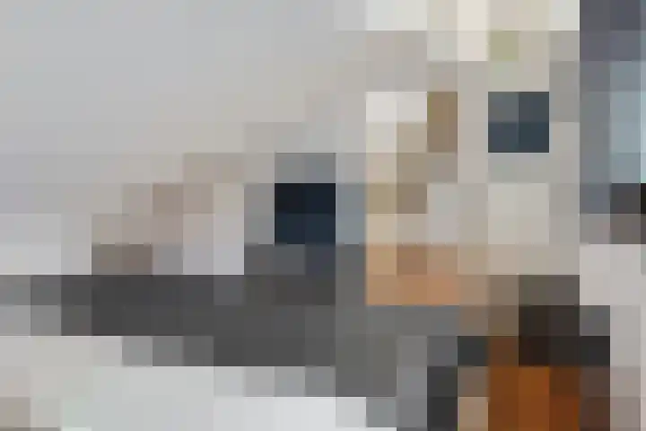Wederiklaan 79 Enschede thumbnail 33