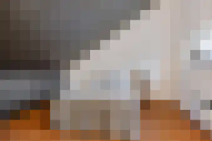 Wederiklaan 79 Enschede thumbnail 34