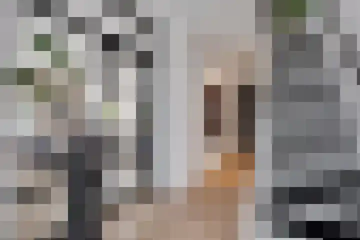Wederiklaan 94 Enschede thumbnail 11