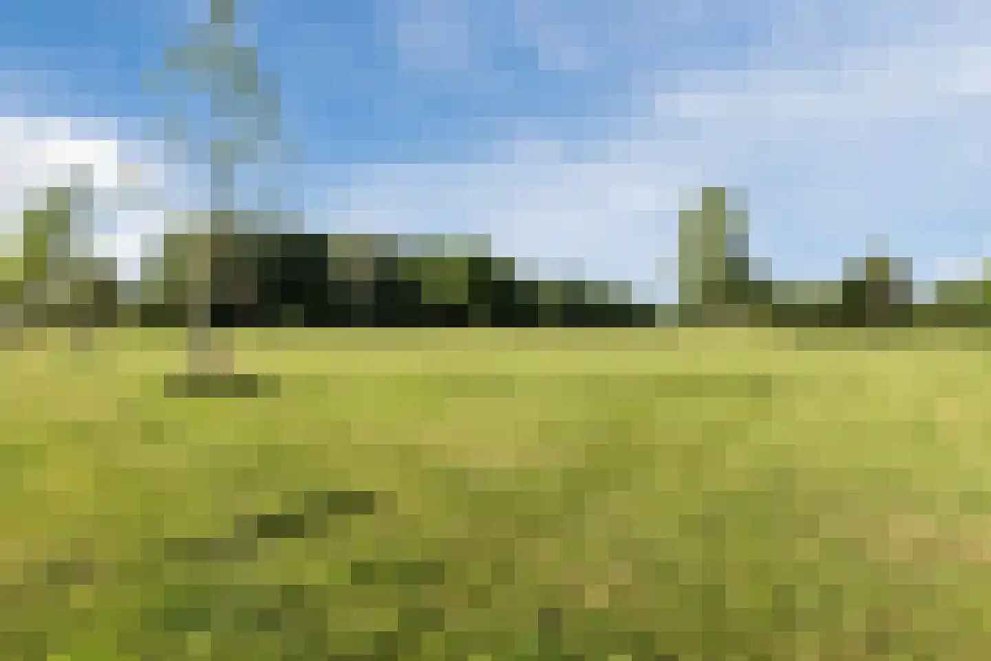Wederiklaan 95 Lelystad thumbnail 44