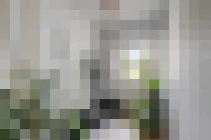 Wederikplantsoen 22 Gouda thumbnail 14