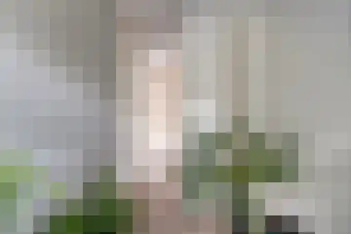 Wederikplantsoen 22 Gouda thumbnail 15