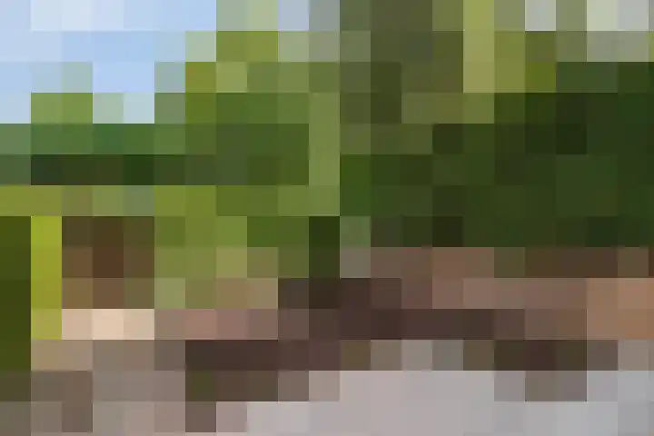 Wederikplantsoen 22 Gouda thumbnail 19