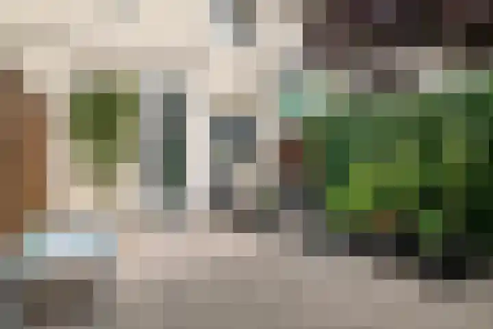 Wederikplantsoen 22 Gouda thumbnail 24