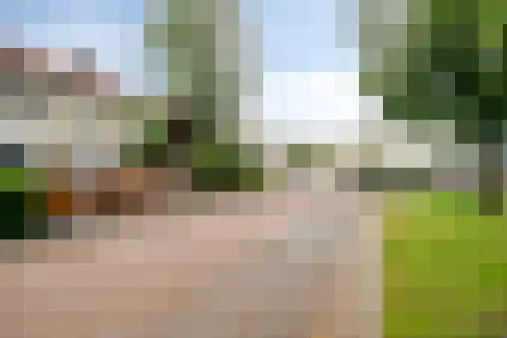 Wederikplantsoen 22 Gouda thumbnail 25