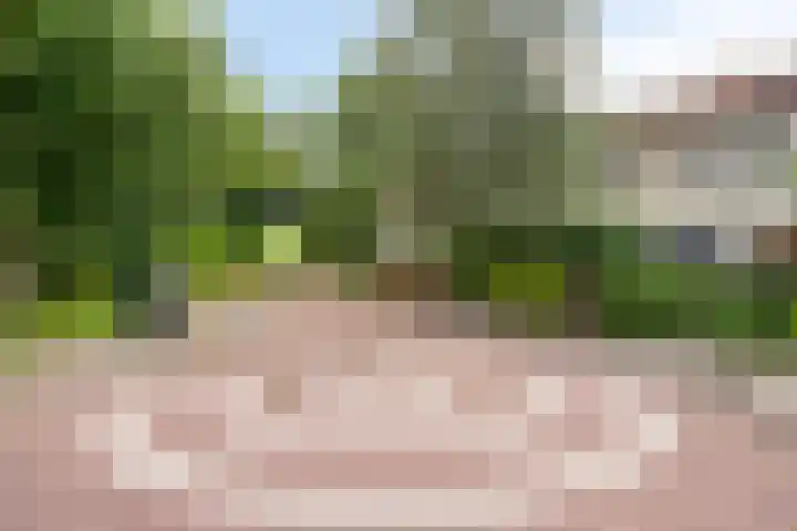 Wederikplantsoen 22 Gouda thumbnail 27