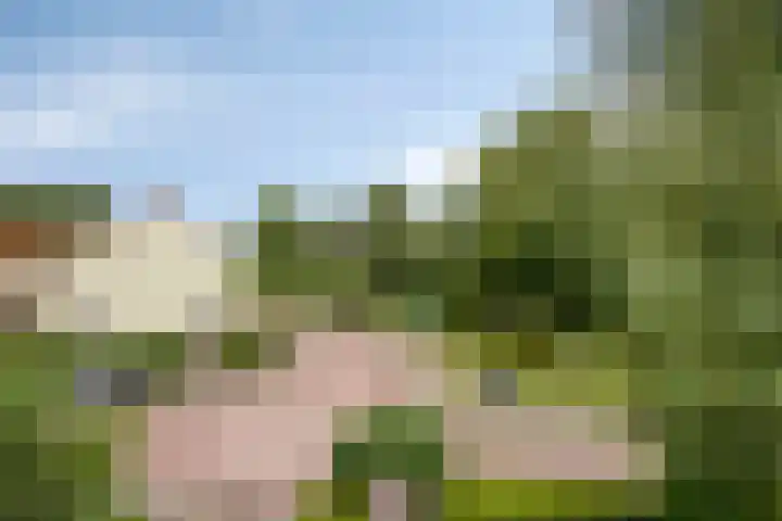 Wederikplantsoen 22 Gouda thumbnail 28