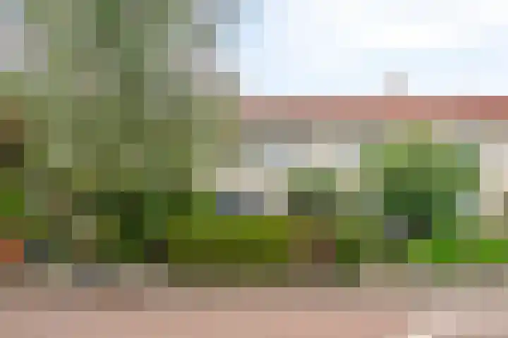 Wederikplantsoen 22 Gouda thumbnail 34