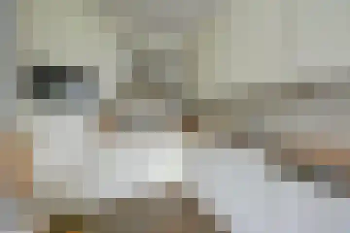 Wederiksingel 12 Vught thumbnail 15