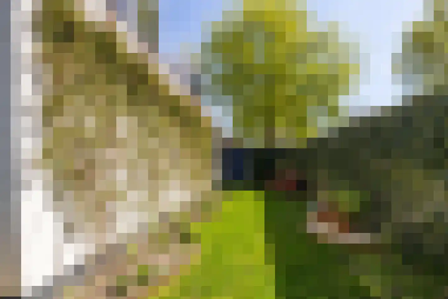 Wederiksingel 14 Vught thumbnail 40
