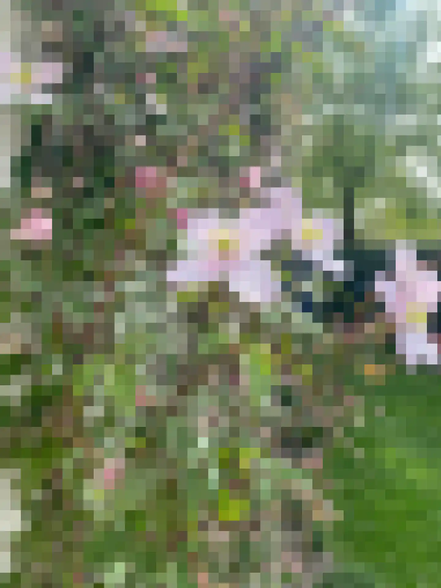Wederiksingel 14 Vught thumbnail 41