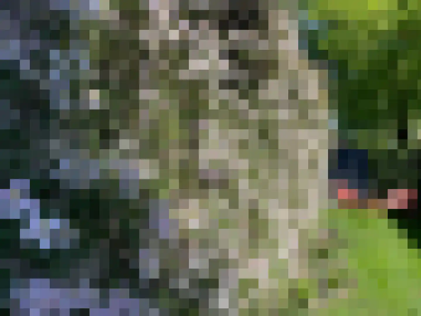 Wederiksingel 14 Vught thumbnail 42