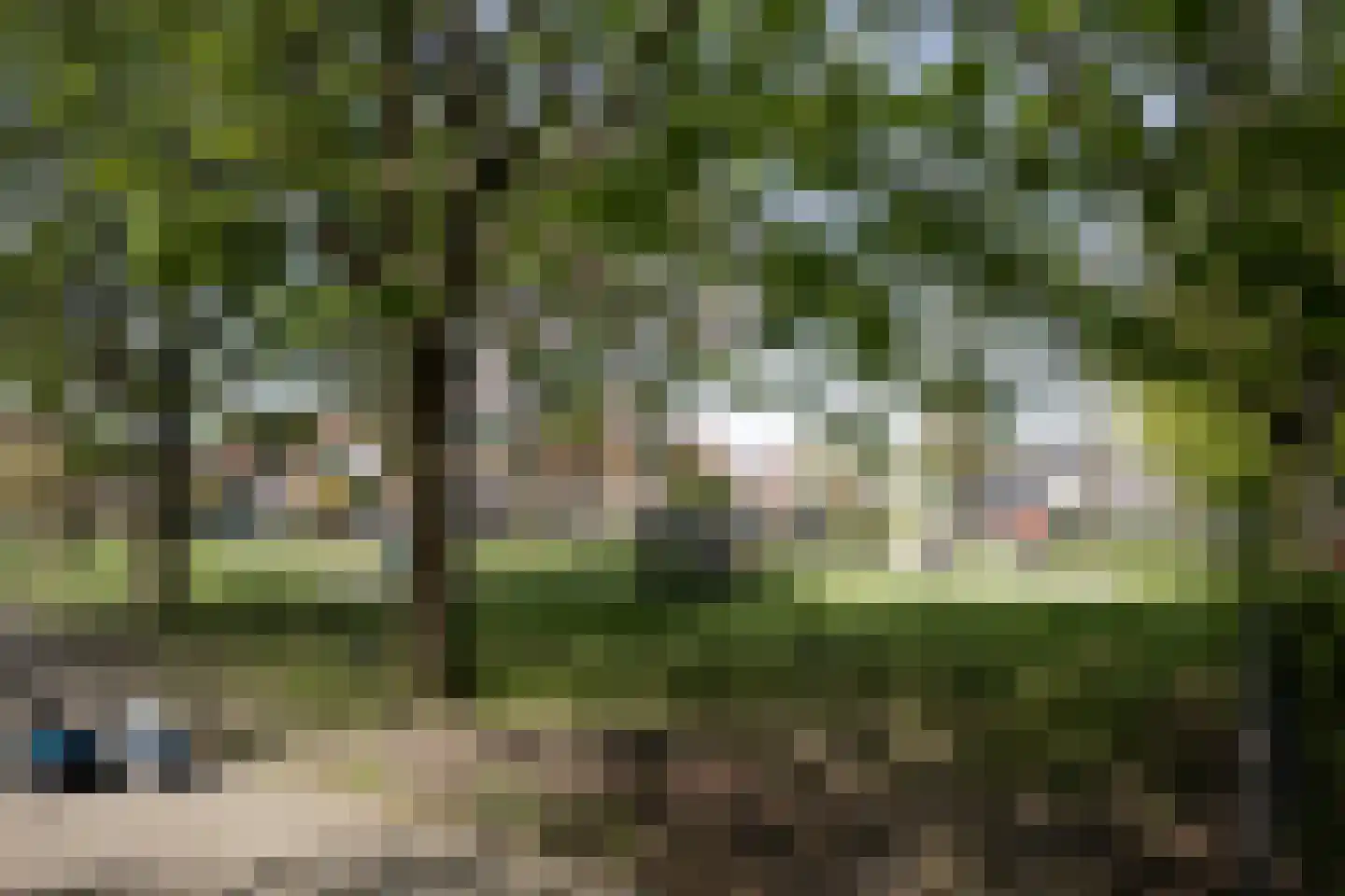 Wederiksingel 14 Vught thumbnail 45