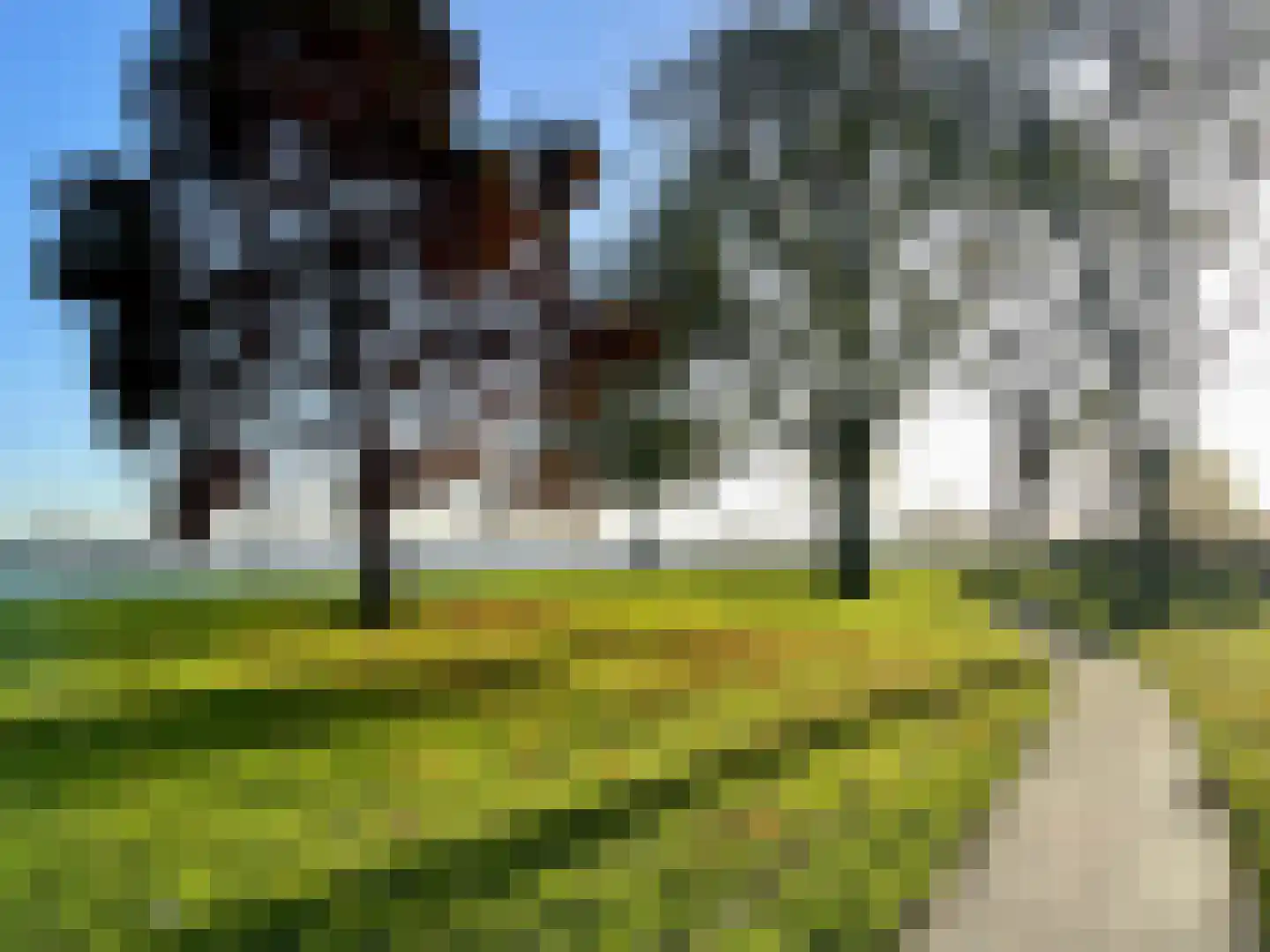 Wederikstraat 107 Alphen aan den Rijn thumbnail 31