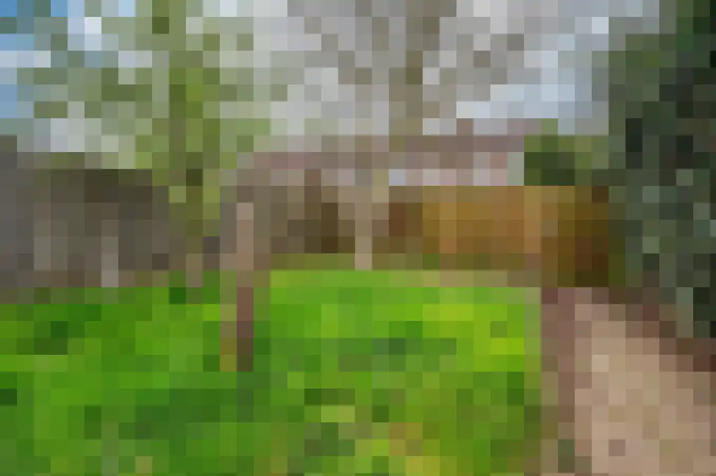 Wederikstraat 15 Reuver thumbnail 32