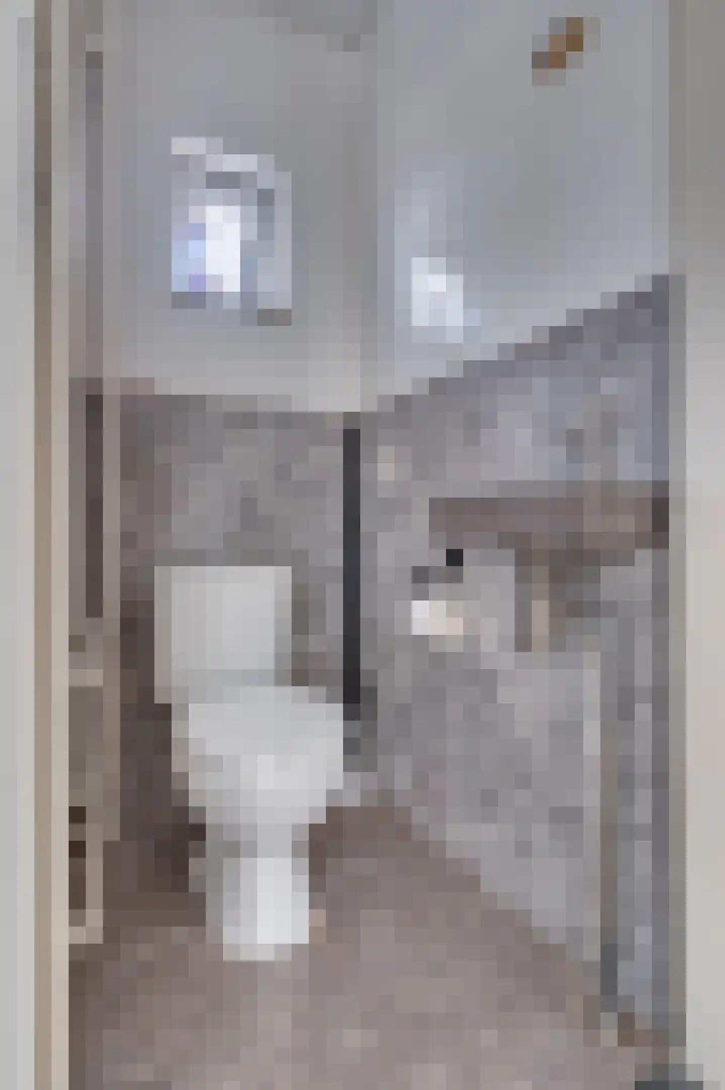 Wederikstraat 15 Reuver thumbnail 7