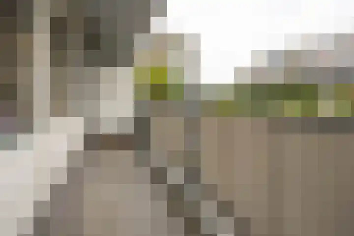 Wederikstraat 23 Alphen aan den Rijn thumbnail 16