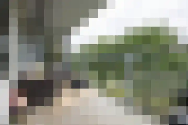 Wederikstraat 23 Alphen aan den Rijn thumbnail 7