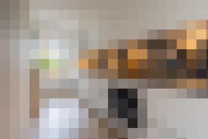 Wederikstraat 23 Alphen aan den Rijn thumbnail 9
