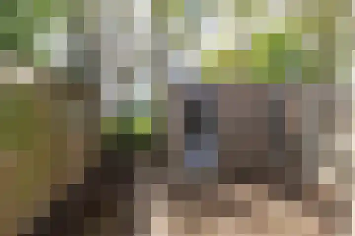 Wederikstraat 40 Reuver thumbnail 16