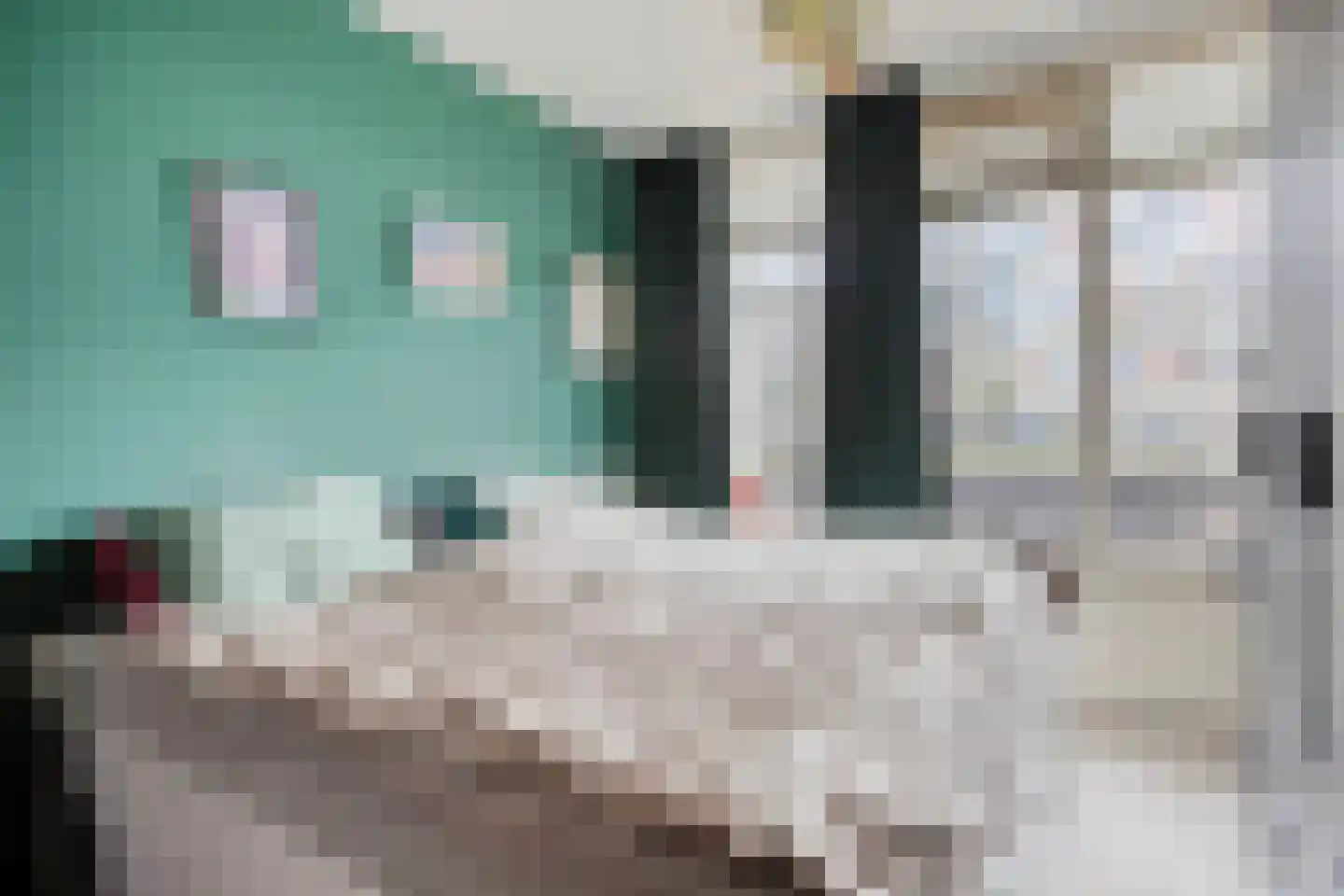 Wederikstraat 41 Alphen aan den Rijn thumbnail 19