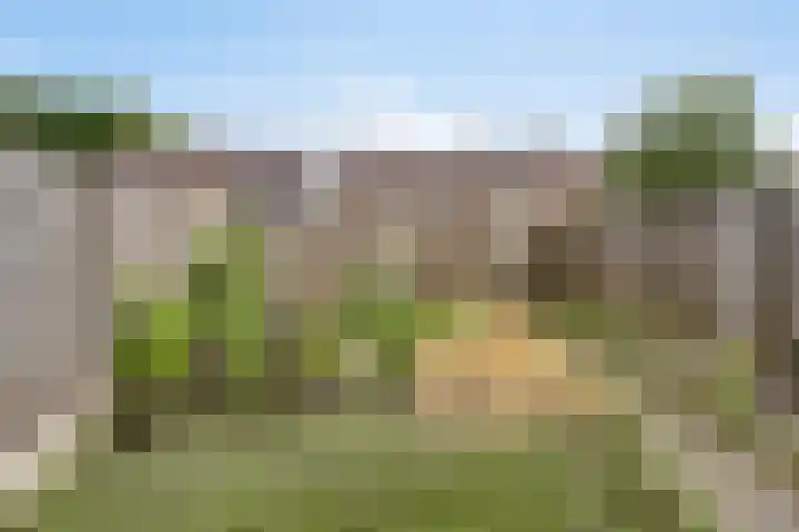 Wederikstraat 5 Reuver thumbnail 16