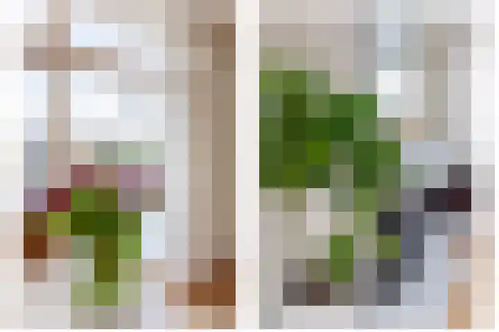 Wederikstraat 7 Krommenie thumbnail 12