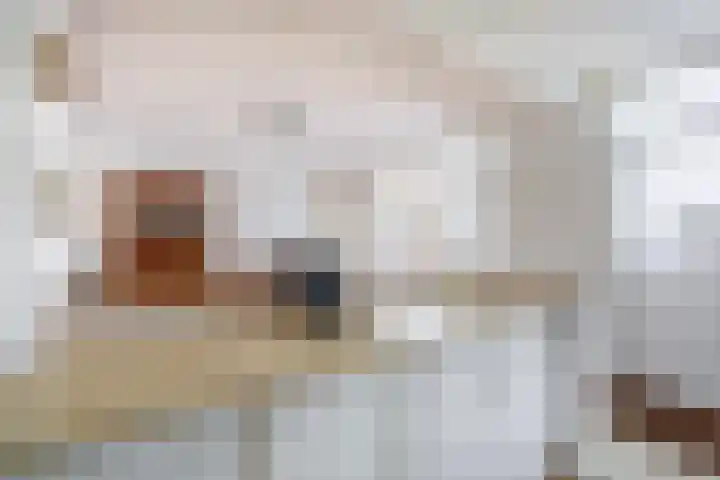 Wederikstraat 7 Krommenie thumbnail 17