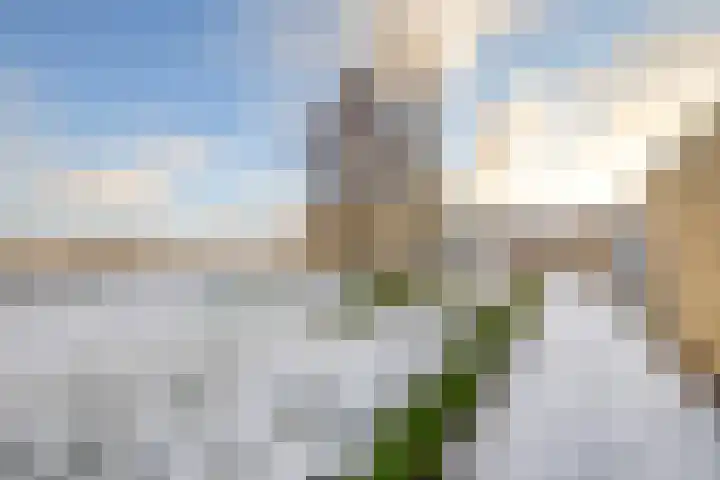Wederikstraat 7 Krommenie thumbnail 44