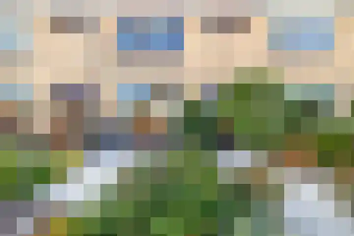 Wederikstraat 7 Krommenie thumbnail 5