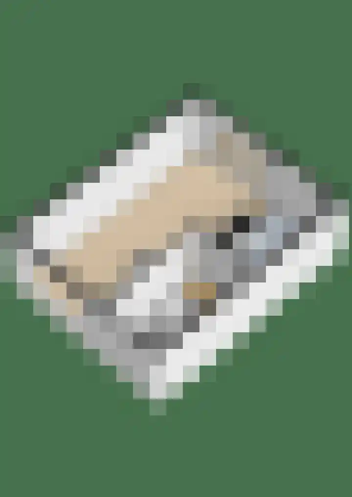 Wederikstraat 7 Krommenie thumbnail 67