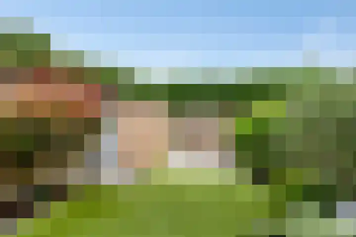 Wederiktuin 147 Breda thumbnail 23
