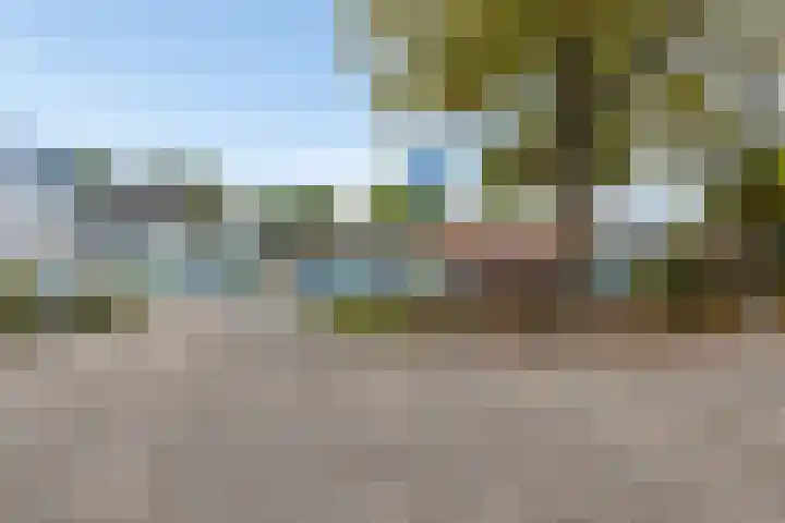 Wederiktuin 147 Breda thumbnail 29