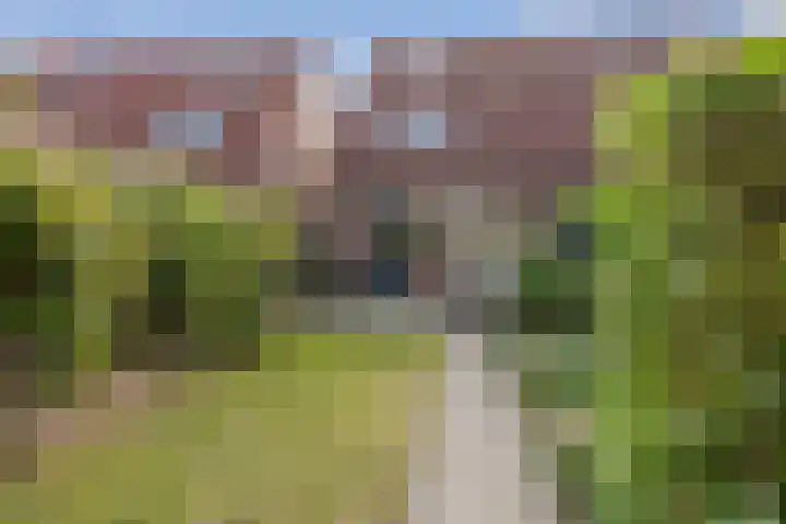 Wederiktuin 29 Breda thumbnail 37