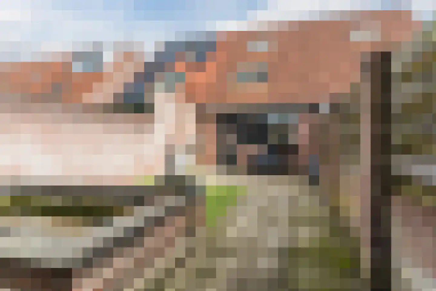 Wederiktuin 33 Breda thumbnail 29