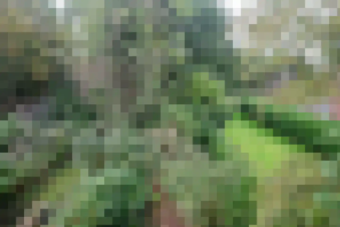 Wederikweg 114 Haren Gn thumbnail 39