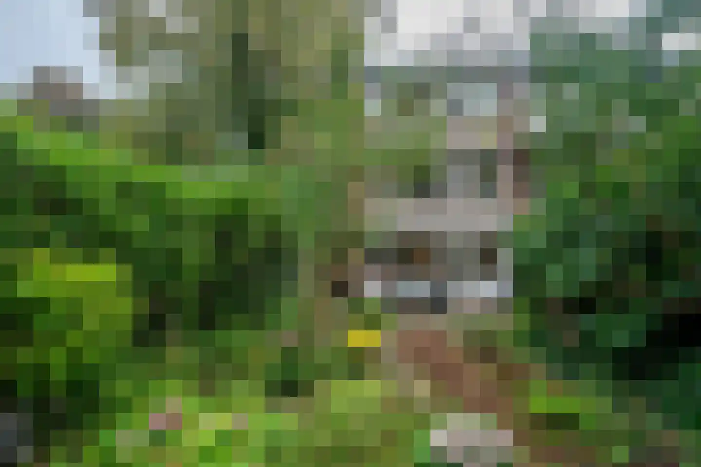 Wederikweg 114 Haren Gn thumbnail 41
