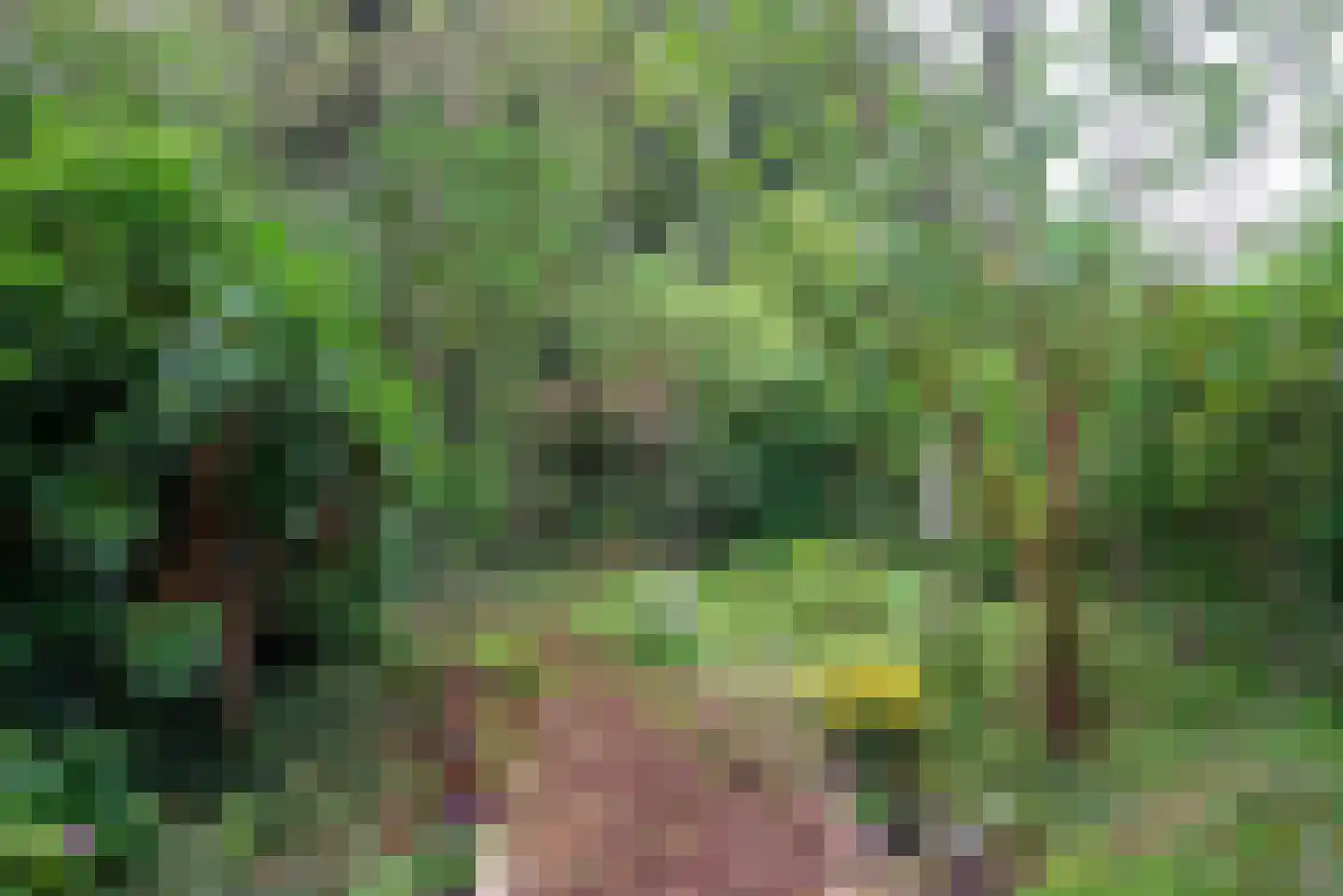 Wederikweg 114 Haren Gn thumbnail 48